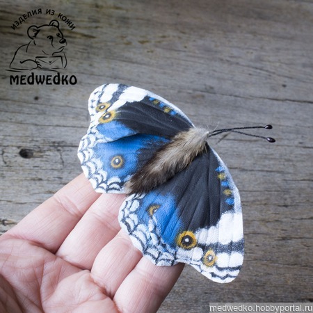 ����� �� ���� ������� Blue Pansy-4 ������ ������ �� �����