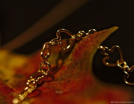 ������� � ��������� �������� ������ ������ �� �����