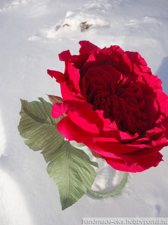 �������� ������ ������ ������ �� �����