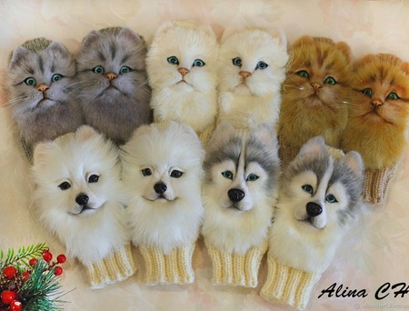 ������� ������� ������� � ������� ����� � ������� ������ ������ �� �����