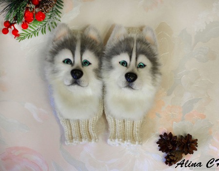 ������� ������� ������� � ������� ����� � ������� ������ ������ �� �����