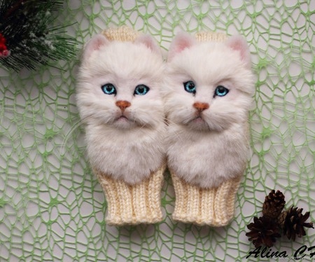 ������� ������� ������� � ������� ����� � ������� ������ ������ �� �����