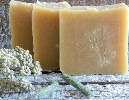 ���� ����������� "�������" ������ ������ �� �����