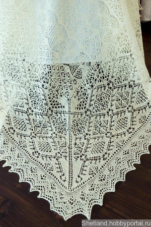  Black Widow Spider King    