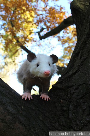 �������� ������� ������ ������ �� �����