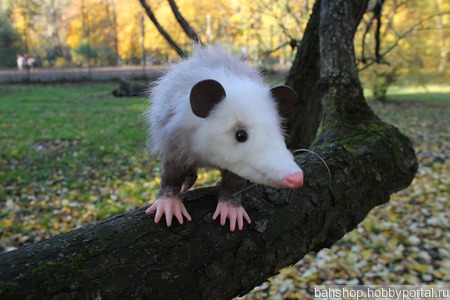 �������� ������� ������ ������ �� �����