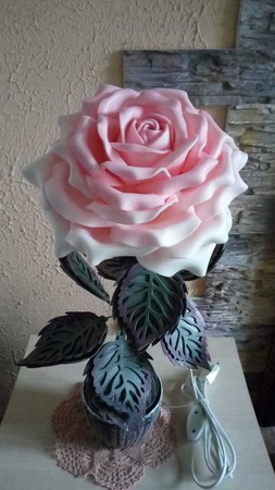 ����-������ ������ ������ �� �����