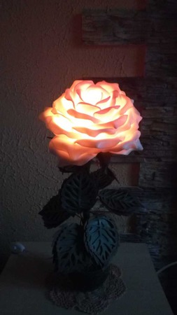 ����-������ ������ ������ �� �����