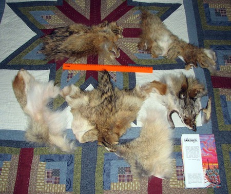 ��� ������ ������ ������ �� �����