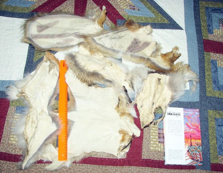 ��� ������ ������ ������ �� �����