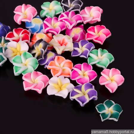 ������ ����� ������ ������ �� �����