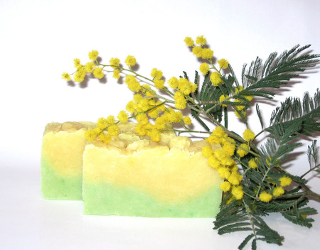 ���� ����������� "�������� ������" ������ ������ �� �����