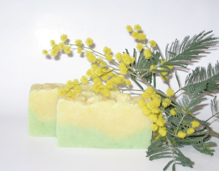 ���� ����������� "�������� ������" ������ ������ �� �����