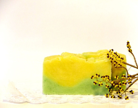 ���� ����������� "�������� ������" ������ ������ �� �����