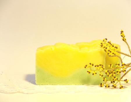 ���� ����������� "�������� ������" ������ ������ �� �����