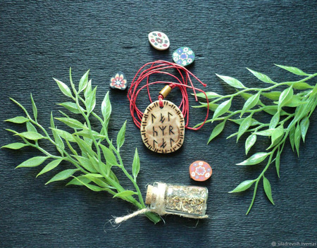 ������ "���� � �������" ������ ������ �� �����