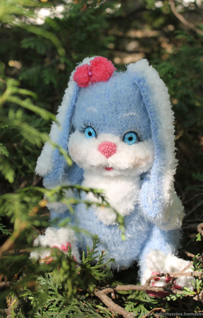 ����� ������� ������ ������ �� �����