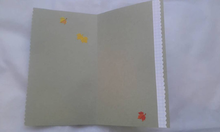 �������� ������ ������ "�������" ������ ������ �� �����