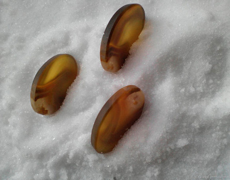 �������� �� ����� ������ ������ �� �����