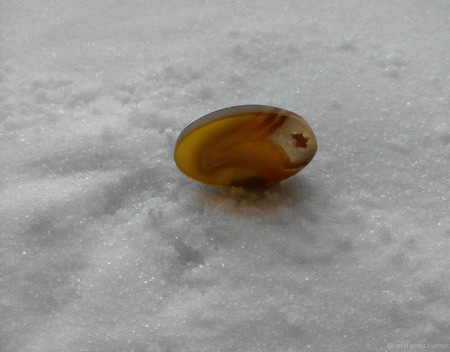 �������� �� ����� ������ ������ �� �����