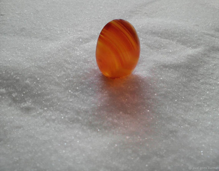 ������� �������� ������ ������ �� �����