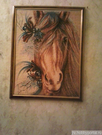 ������� ������� "�������" ������ ������ �� �����