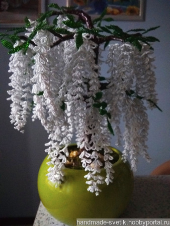 �������� ����� �� ������ ������ ������ �� �����