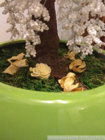 �������� ����� �� ������ ������ ������ �� �����