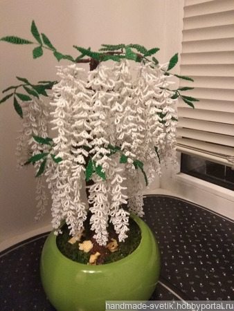 �������� ����� �� ������ ������ ������ �� �����