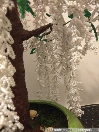 �������� ����� �� ������ ������ ������ �� �����