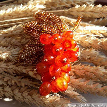 ����� "�������� ������" ������ ������ �� �����