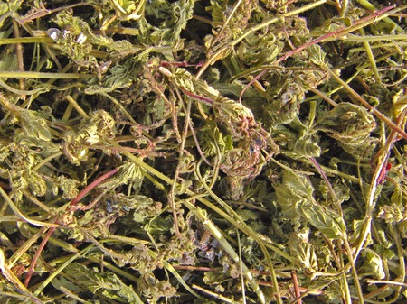 �������� ���������. ����� ������� �����. ���� �� 1 �. ������ ������ �� �����