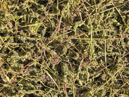 �������� ���������. ����� ������� �����. ���� �� 1 �. ������ ������ �� �����