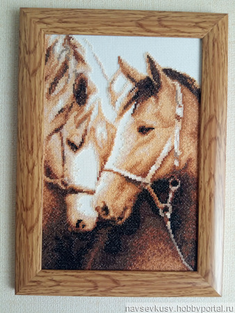 ������� "�����������" ������ ������ �� �����