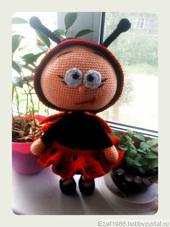 ���� ����� ������� ������ ������ �� �����