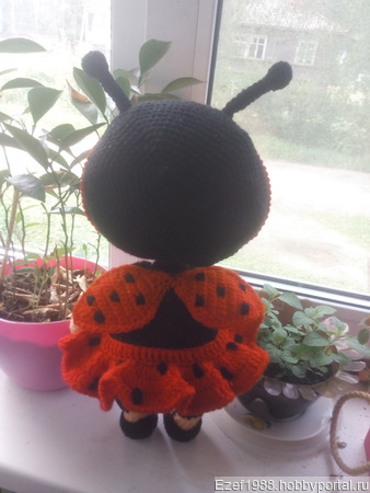 ���� ����� ������� ������ ������ �� �����