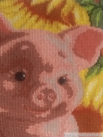 ������� "����� 2019" ������ ������ �� �����