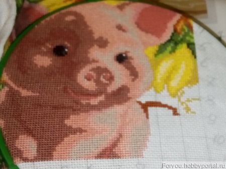 ������� "����� 2019" ������ ������ �� �����