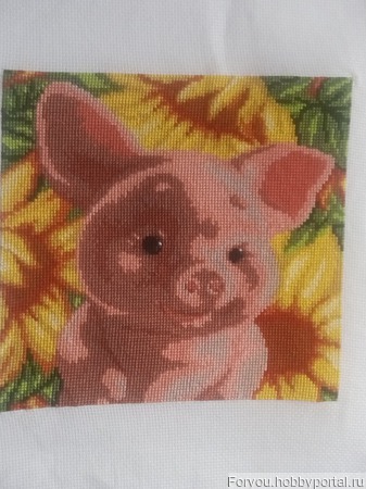 ������� "����� 2019" ������ ������ �� �����