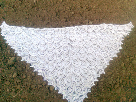 ���� ���� ������ ������ �� �����