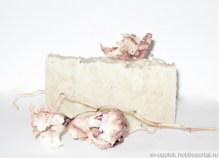 ����������� ���� "����������� ����" ������ ������ �� �����