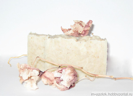 ����������� ���� "����������� ����" ������ ������ �� �����