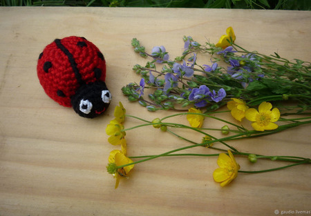 ����� ������� ������ ������ �� �����