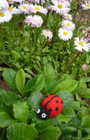 ����� ������� ������ ������ �� �����