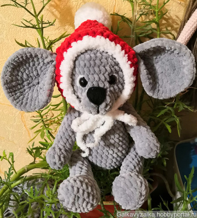 �����, ������ 2020 ���� ������ ������ �� �����