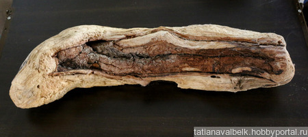 ������ ������� �������� ���-������ 14 ������ ������ �� �����