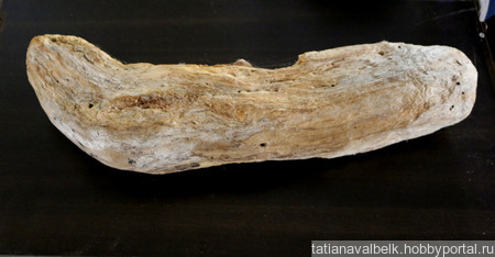 ������ ������� �������� ���-������ 14 ������ ������ �� �����