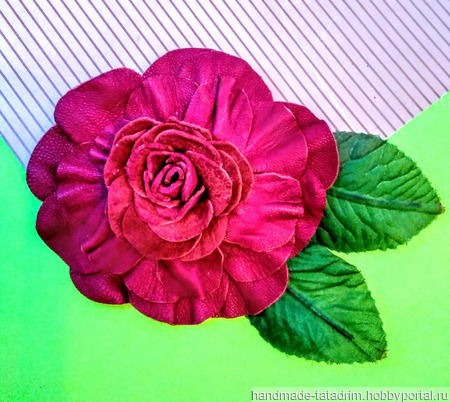 ������ �� ���� ������ ������ �� �����