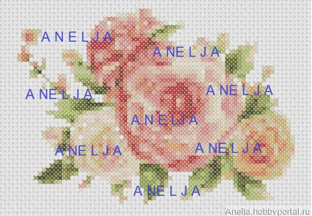 ����� ������� ������ ������ ������ �� �����