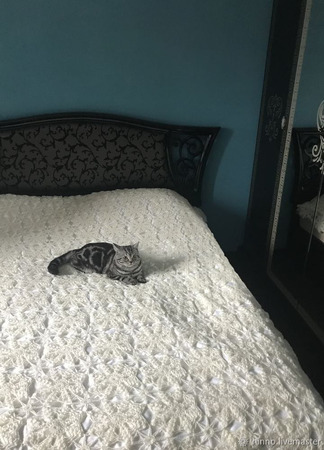 ��������� "�������� ����" ������ ������ �� �����